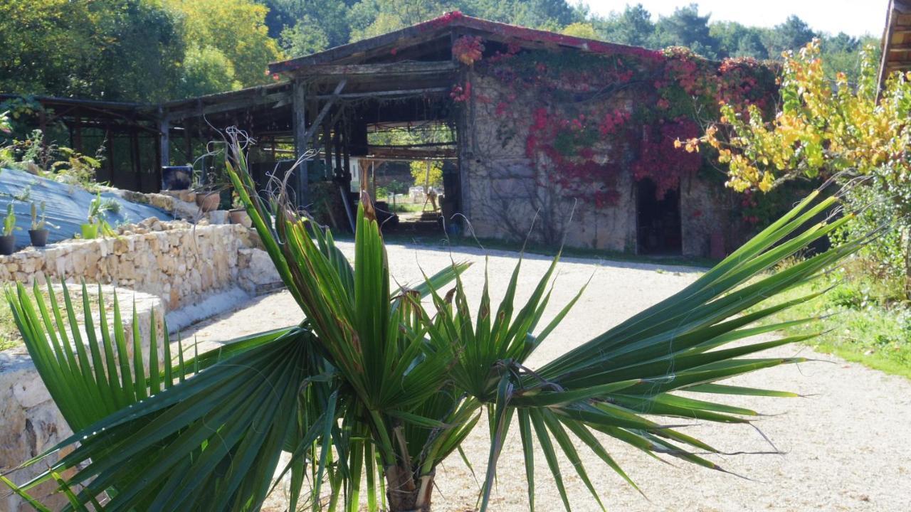Bed and Breakfast Zen Domme Exterior foto