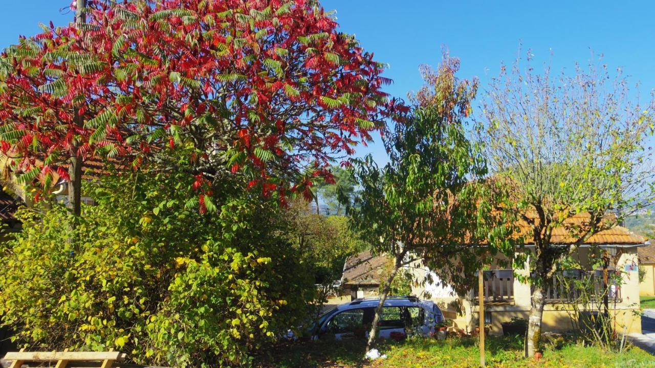 Bed and Breakfast Zen Domme Exterior foto